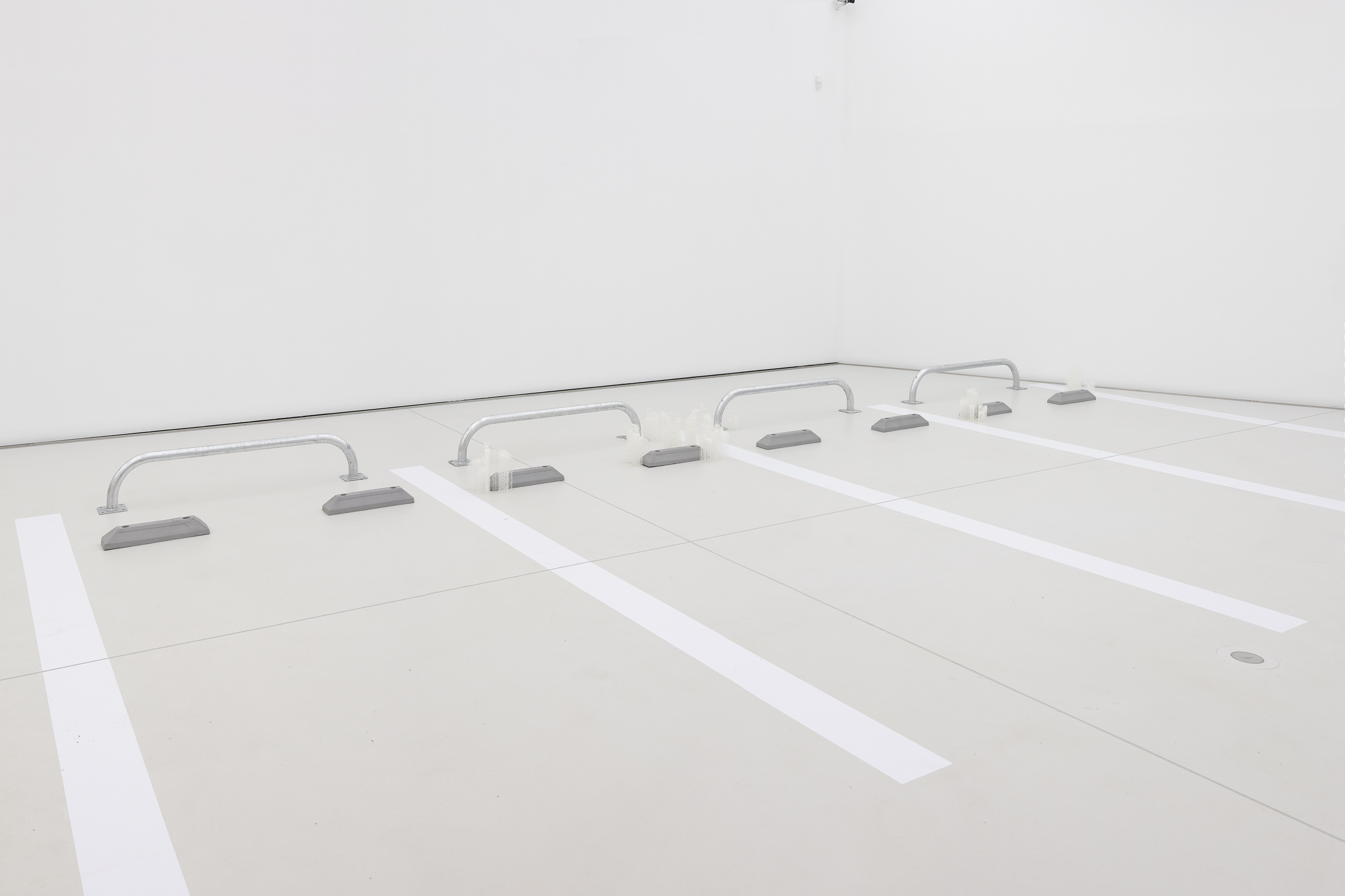 Pioneer Plants Printing Projects